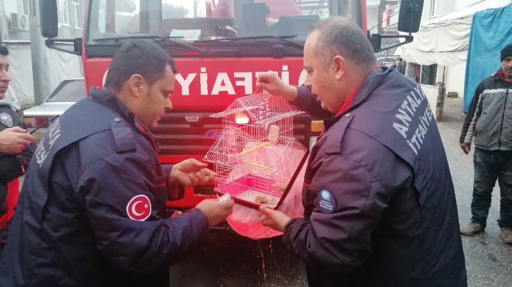 Yangın 3 genç kızın hayallerini yok etti 