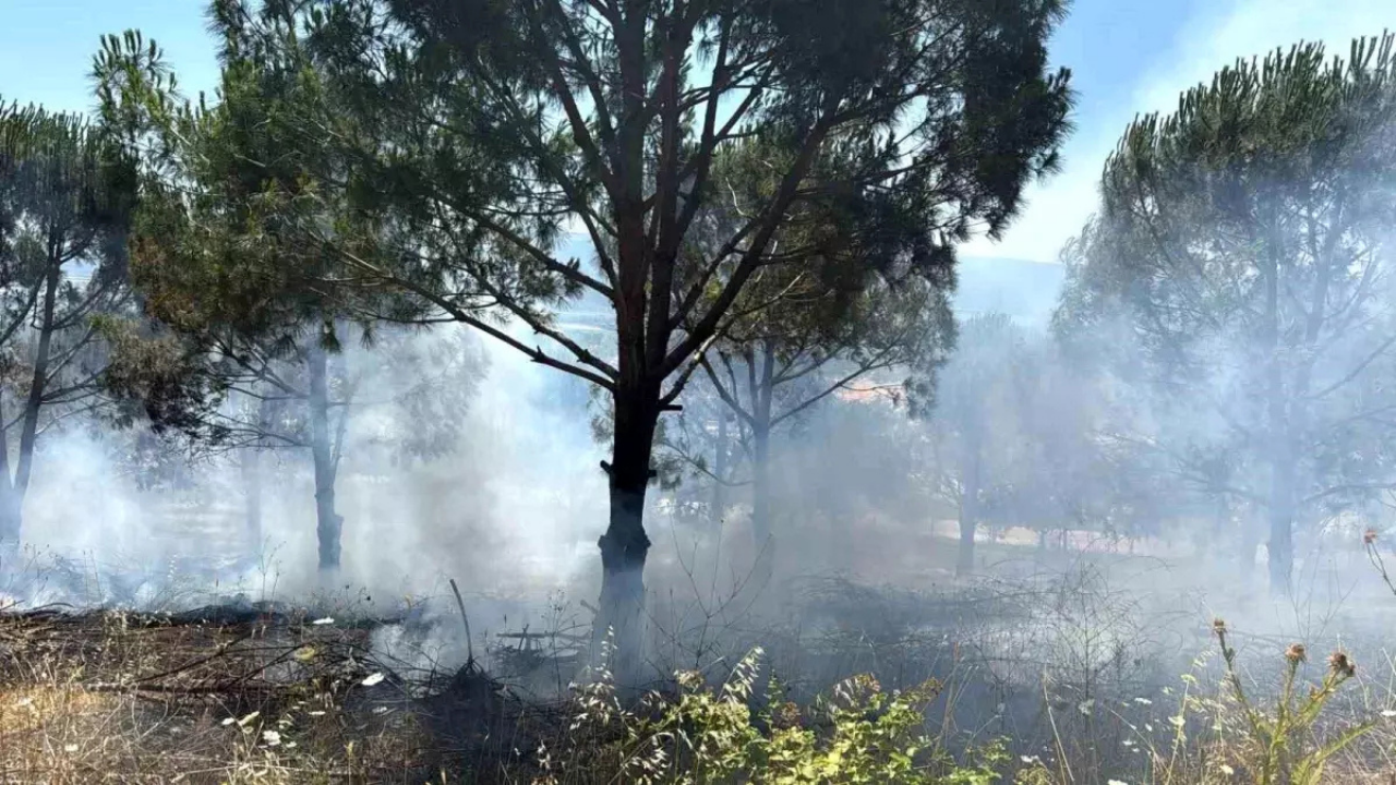 Yangın çıkartanlara öyle bir ceza verildi ki…