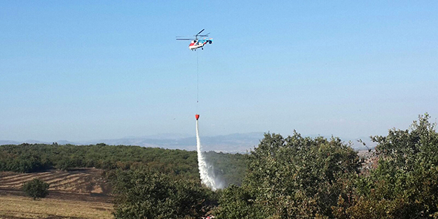 Yangın fidanlara sıçramadan söndürüldü