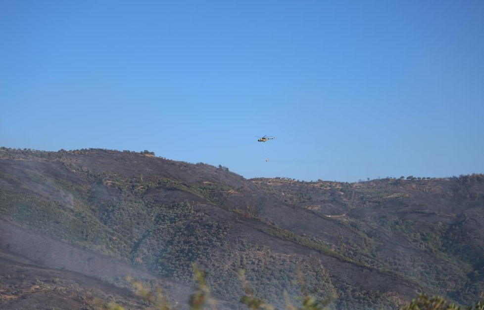 Yangın Ödemiş’in dağlarını kararttı