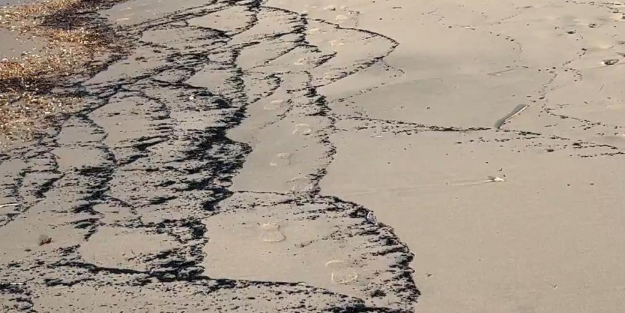 Yangın sonrası sahil siyaha boyandı