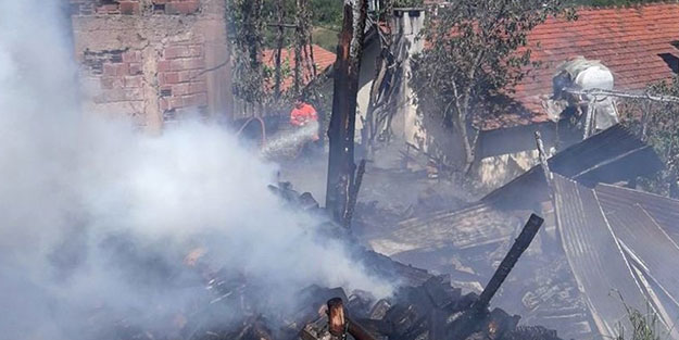 Yangın sonucu hayvanlar telef oldu