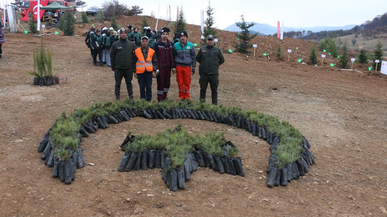 Yangına karşı 30 bin fidanla direniş!