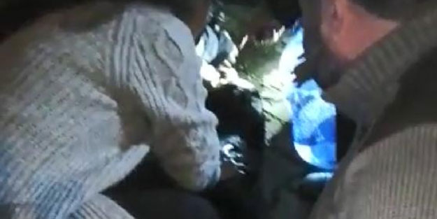 Yangında kalbi duran köpek, kalp masajıyla hayata döndürüldü