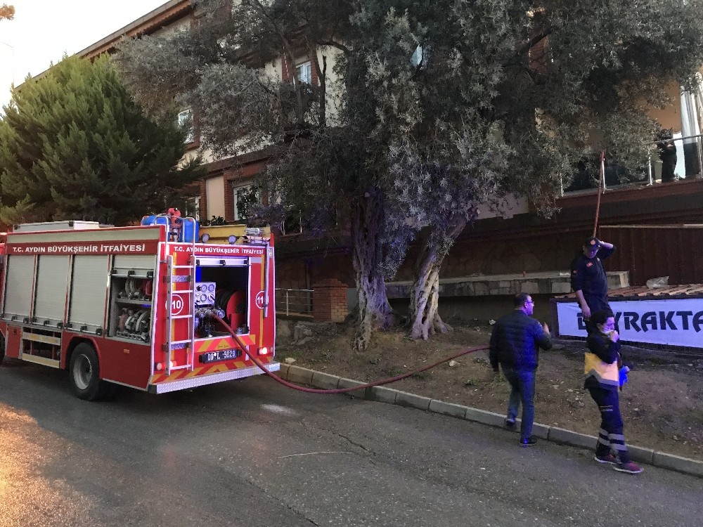 Yangında kediler telef olmadan kurtuldu 