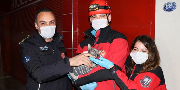 Yangında mahsur alan vatandaş ve kedisi kurtarıldı