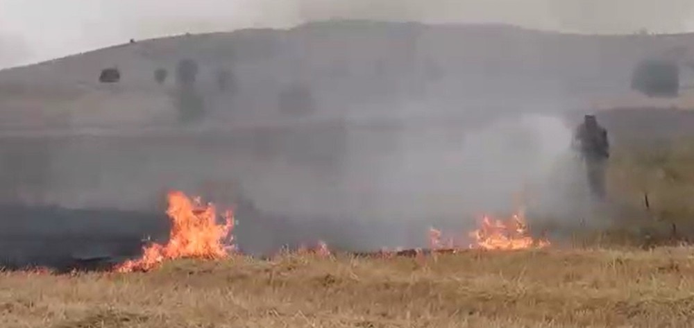 Yangından kurtarılan kaplumbağanın suyla buluşma anı 