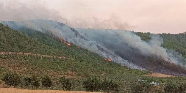Yangının büyüdüğü Osmaniye'de köyler boşaltılıyor