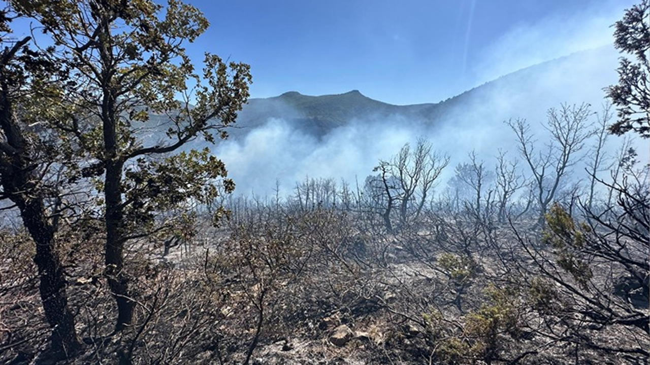 Yangınlar kontrol altında!