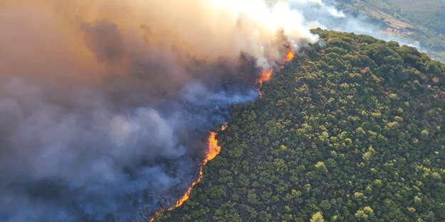 Yangınlarla ilgili kahreden detay