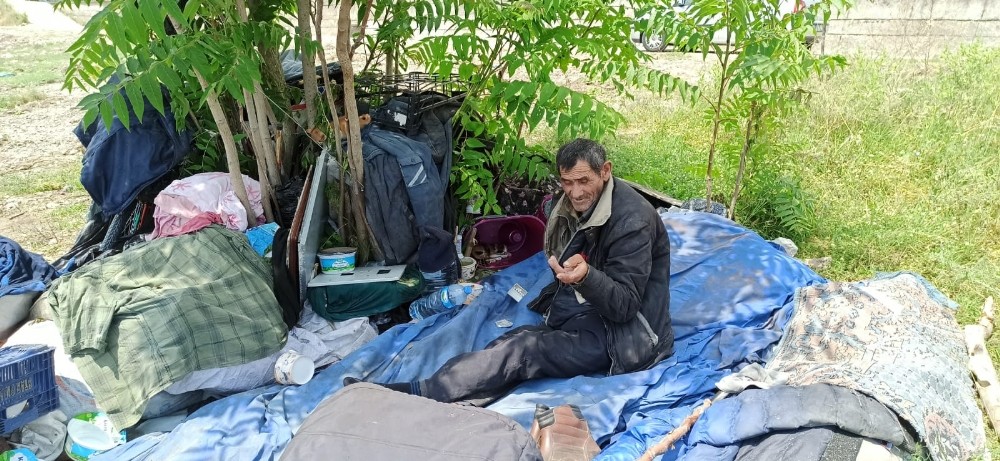 Yanında gezdirdiği kedi yavrularına babalık yapıyor 
