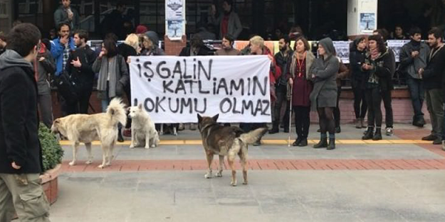 Yanlarına kalmadı! Boğaziçi'nde...