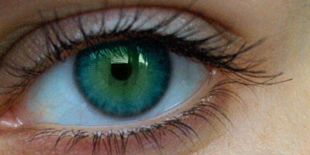 Yanlış biliyorsunuz! - FOTO