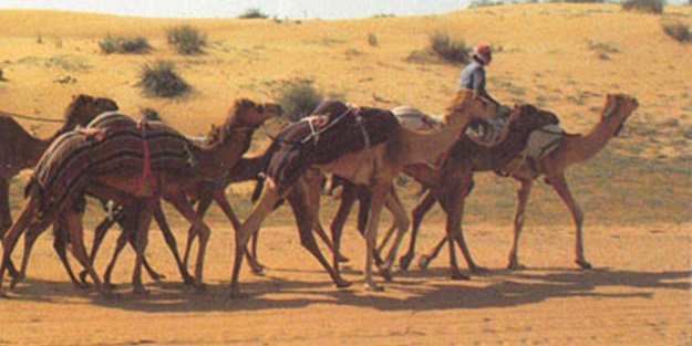 “Yanlış hesap Bağdat’tan döndürür