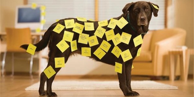 Yanlışlıkla icat edilen şeyler - FOTO