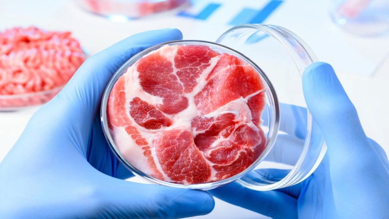 Yapay et ile ilgili yalanlar! Dr. Berg sahtekarlık diyor! Yapay eti nasıl anlarız? 5 yolu!