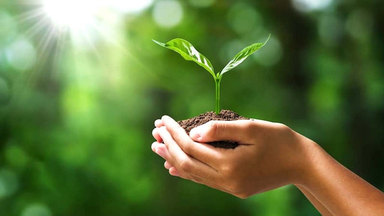 Yapay fotosentezle temiz enerji: Cambridge’den gezegeni kurtaracak buluş