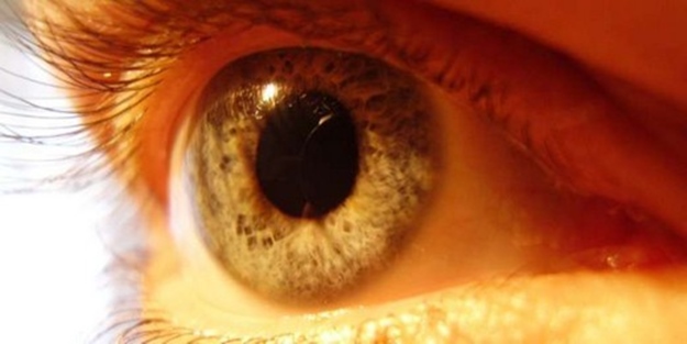 Yapay kornea da üretildi