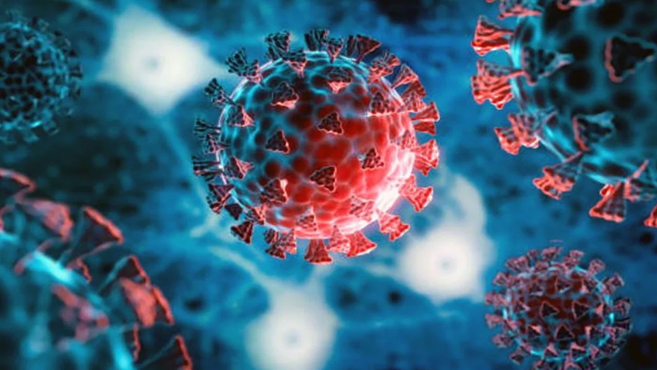 Yapay zeka binlerce yeni virüs keşfetti