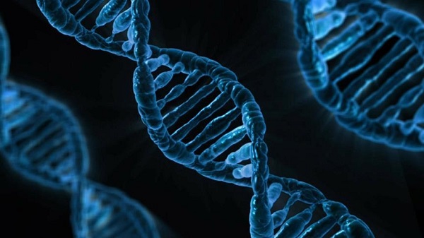 Yapay zeka iş başında! Google DNA'da değişimleri tanımlayabiliyor