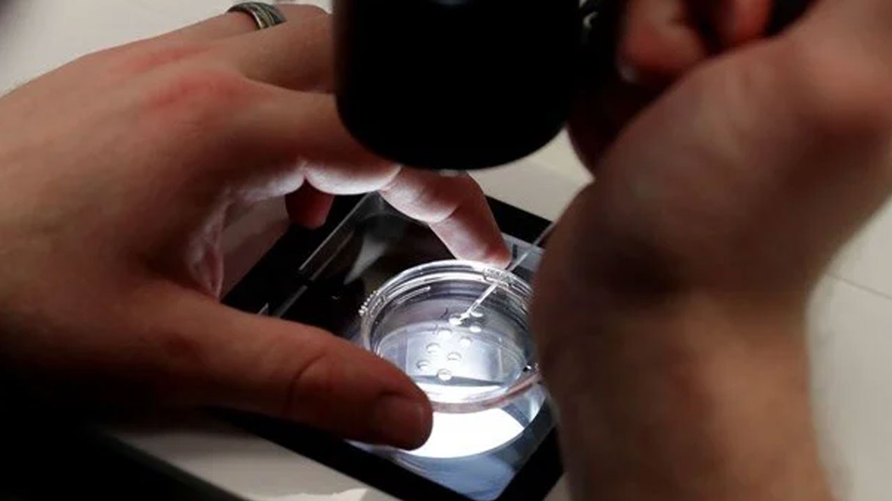 Yapay zeka sayesinde anne olma hayali gerçek oldu