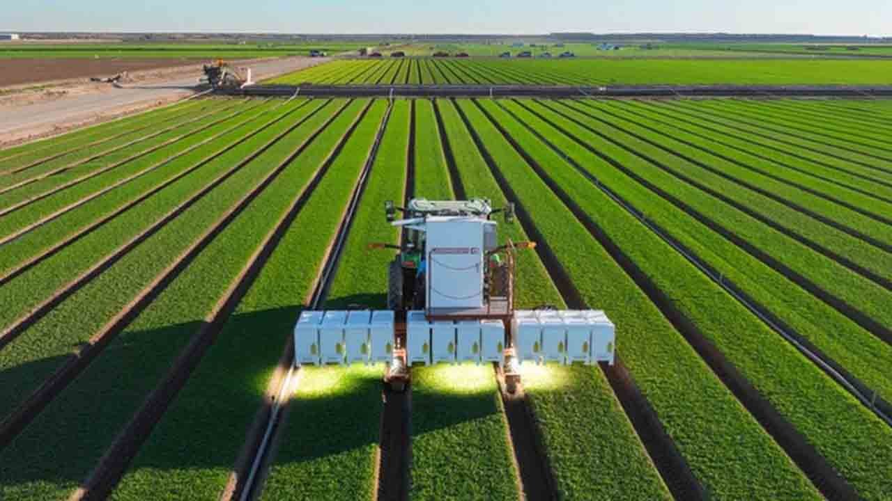 Yapay zeka tarlada: Lazerle ot avı