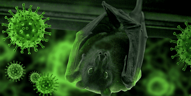 Yapılmış en büyük koronavirüs aşısı araştırması: Zararı var ama faydası daha fazla