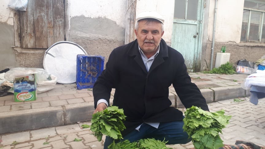 Yaprağı meyvesinden pahalı 