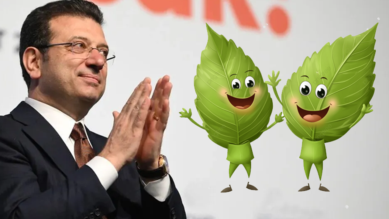 İşte şimdi yapraklar alkışlıyor: İBB'de bahar temizliği var!