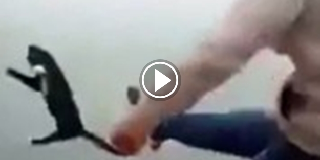 Yaptığı canilik 'Bu da insan mı!' dedirtti