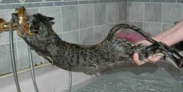 Yaptığı paylaşım sosyal medyayı ayağa kaldırdı!