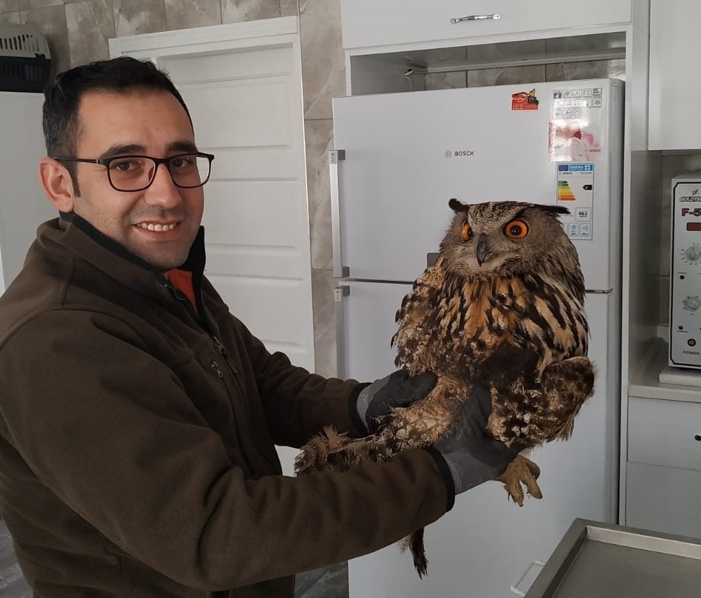 Yaralı baykuş tedavi altına alındı 