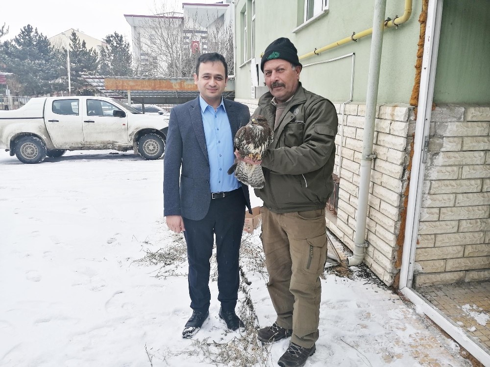 Yaralı doğana ilçe tarım sahip çıktı 