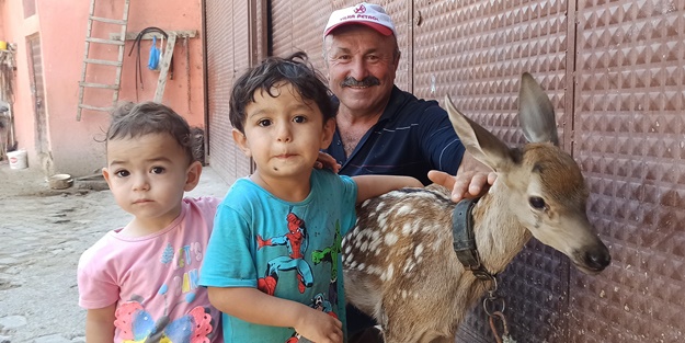 Yaralı halde bulduğu yavru geyiğe bebek gibi baktı