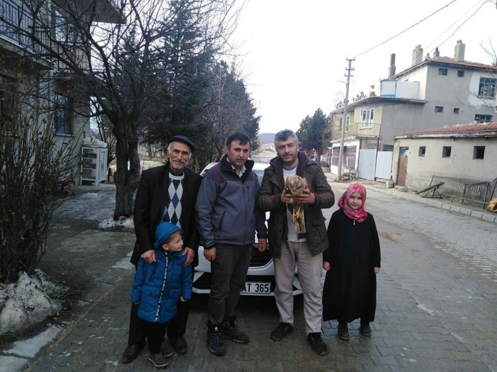 Yaralı halde bulunan kızıl şahin tedavi altına alandı 