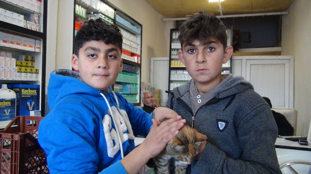 Yaralı kediye iki kuzen sahip çıktı 