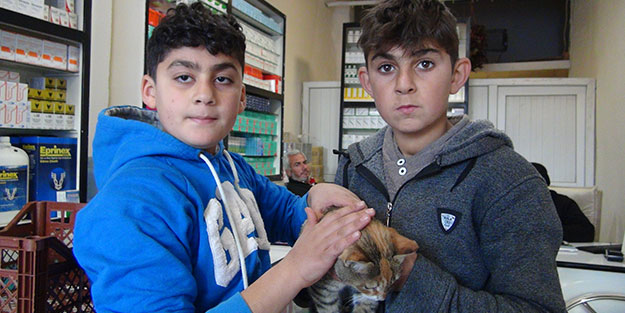 Yaralı kediye sahip çıktılar