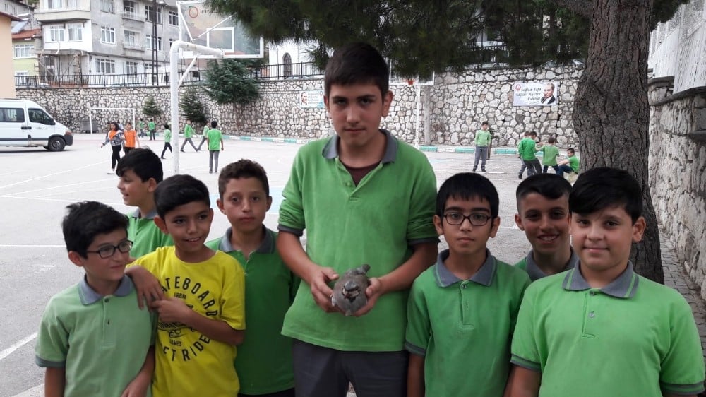 Yaralı kekliğe öğrenciler sahip çıktı 
