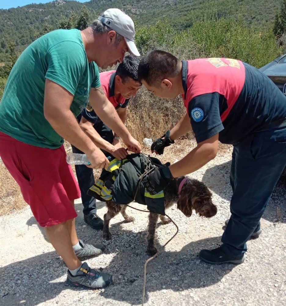Yaralı köpeğin yardımına itfaiye koştu 