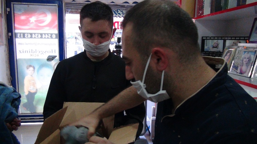 Yaralı kuşa Mehmetçik yardım elini uzattı 