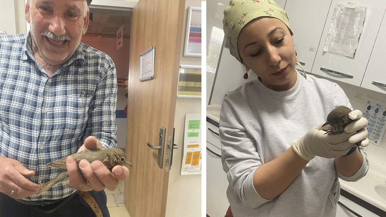 Yaralı kuşu devlet hastanesinin acil servisine götürüp tedavi ettirdi