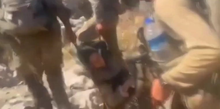 Yaralı olarak ele geçirilen PKK'lı terörist devletin şefkatini böyle anlattı