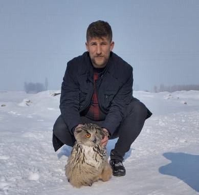 Yaralı Puhu, tedavi altına alındı 