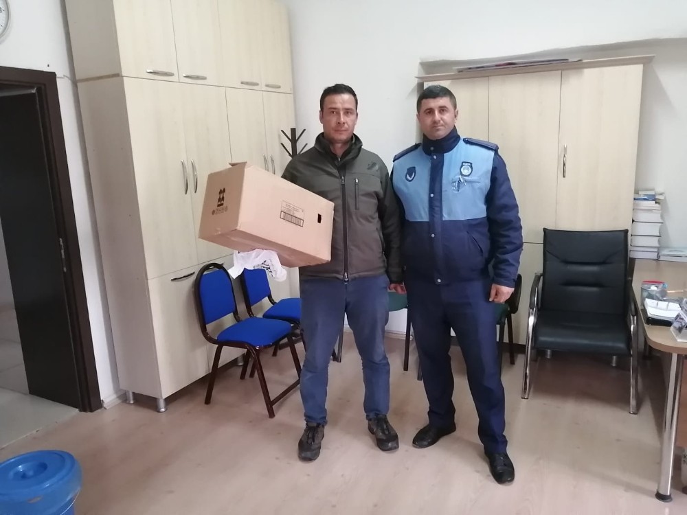 Yaralı şahin bulundu 
