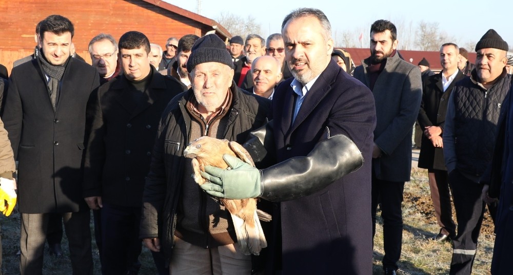 Yaralı şahin özgürlüğüne uçtu 