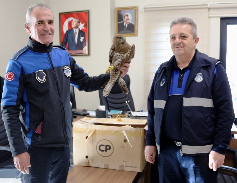 Yaralı şahine anında müdahale 