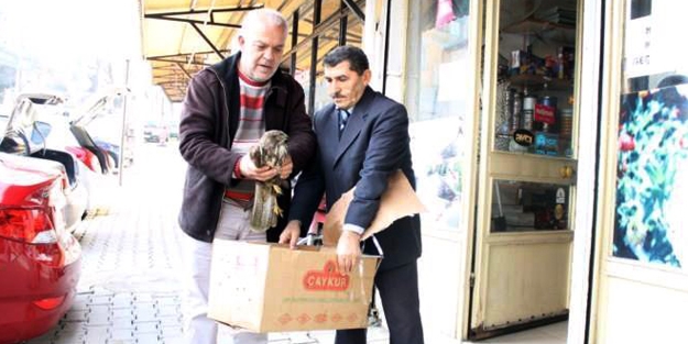 Yaralı şahine sahip çıkıldı