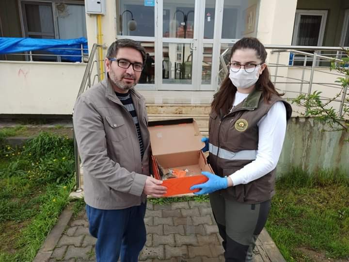 Yaralı yavru güvercin tedavi altına alındı 