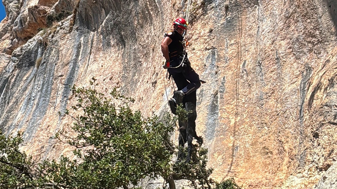 Yaramaz keçi 72 metrelik uçurumdan kurtarıldı!