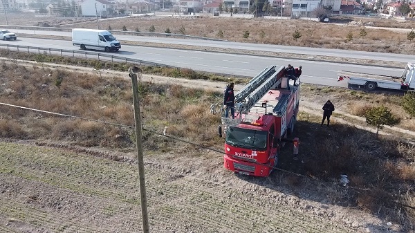 Yaramaz kedi elektrik direğinde mahsur kaldı